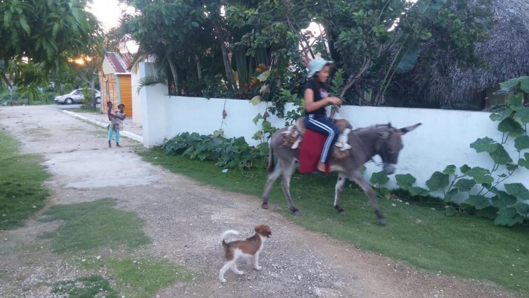 Сasa de vacaciones El Conde De Rosa Punta Cana