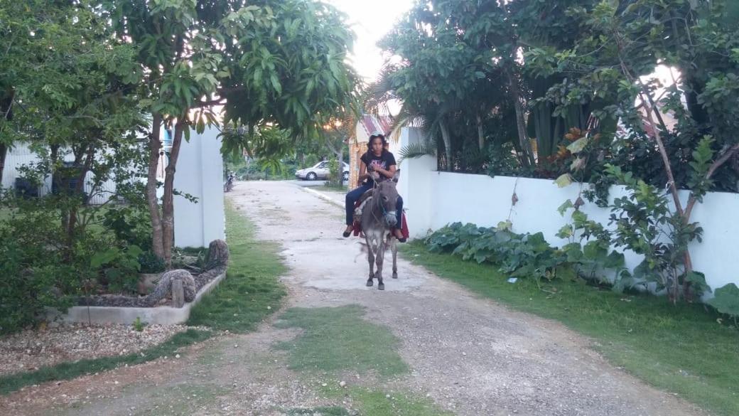 El Conde De Rosa Сasa de vacaciones