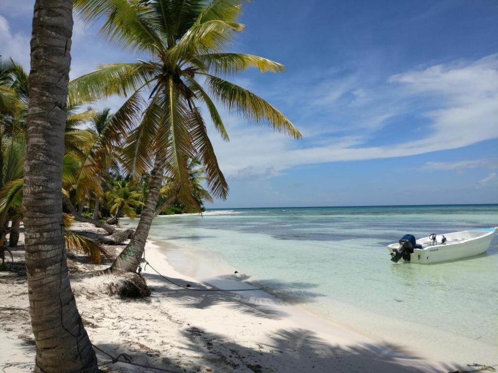 Oasis * Punta Cana