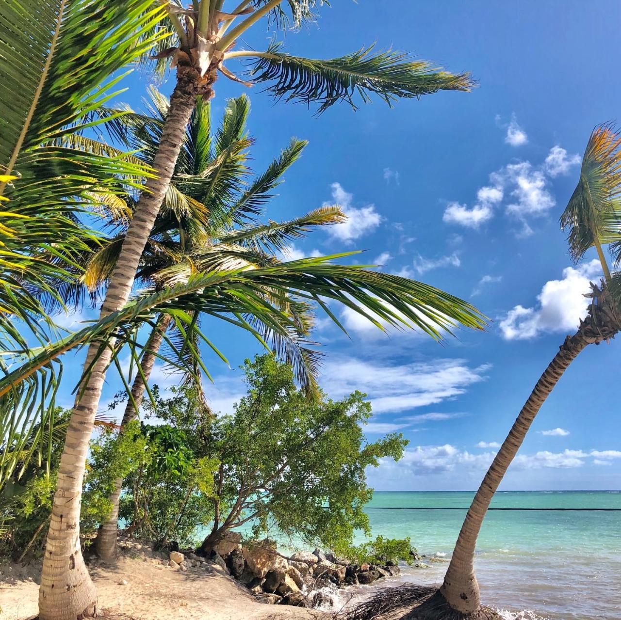 Aquamarina Cap Cana Ocean Front * Punta Cana