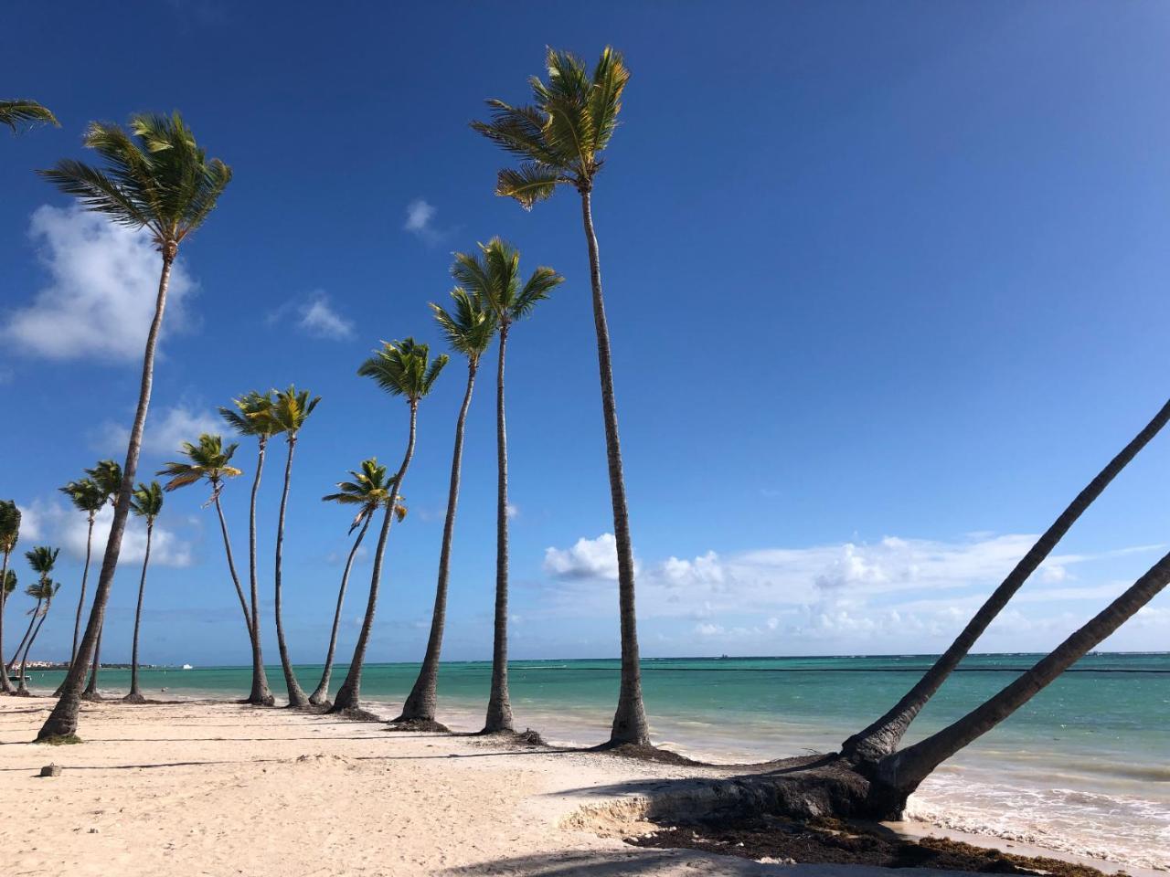 Aquamarina Cap Cana Ocean Front Apartamento