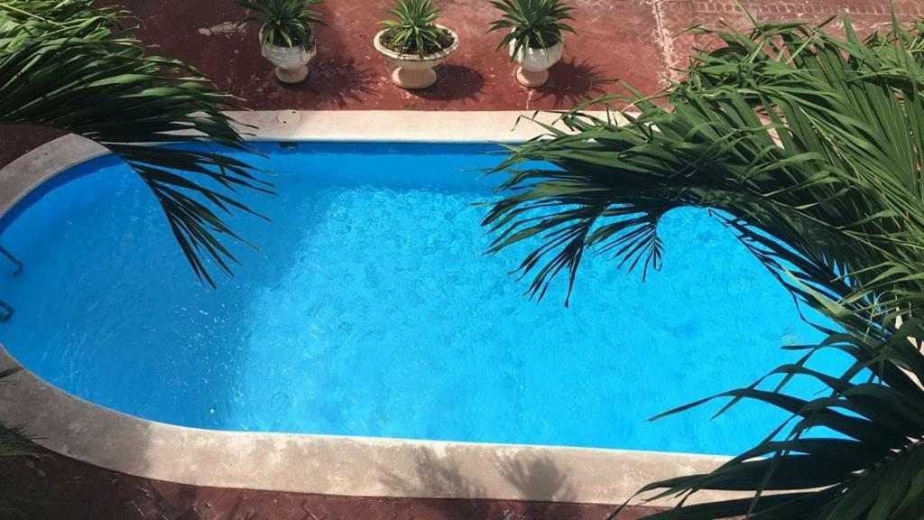 Pensión Arcoiris Share Bavaro Punta Cana
