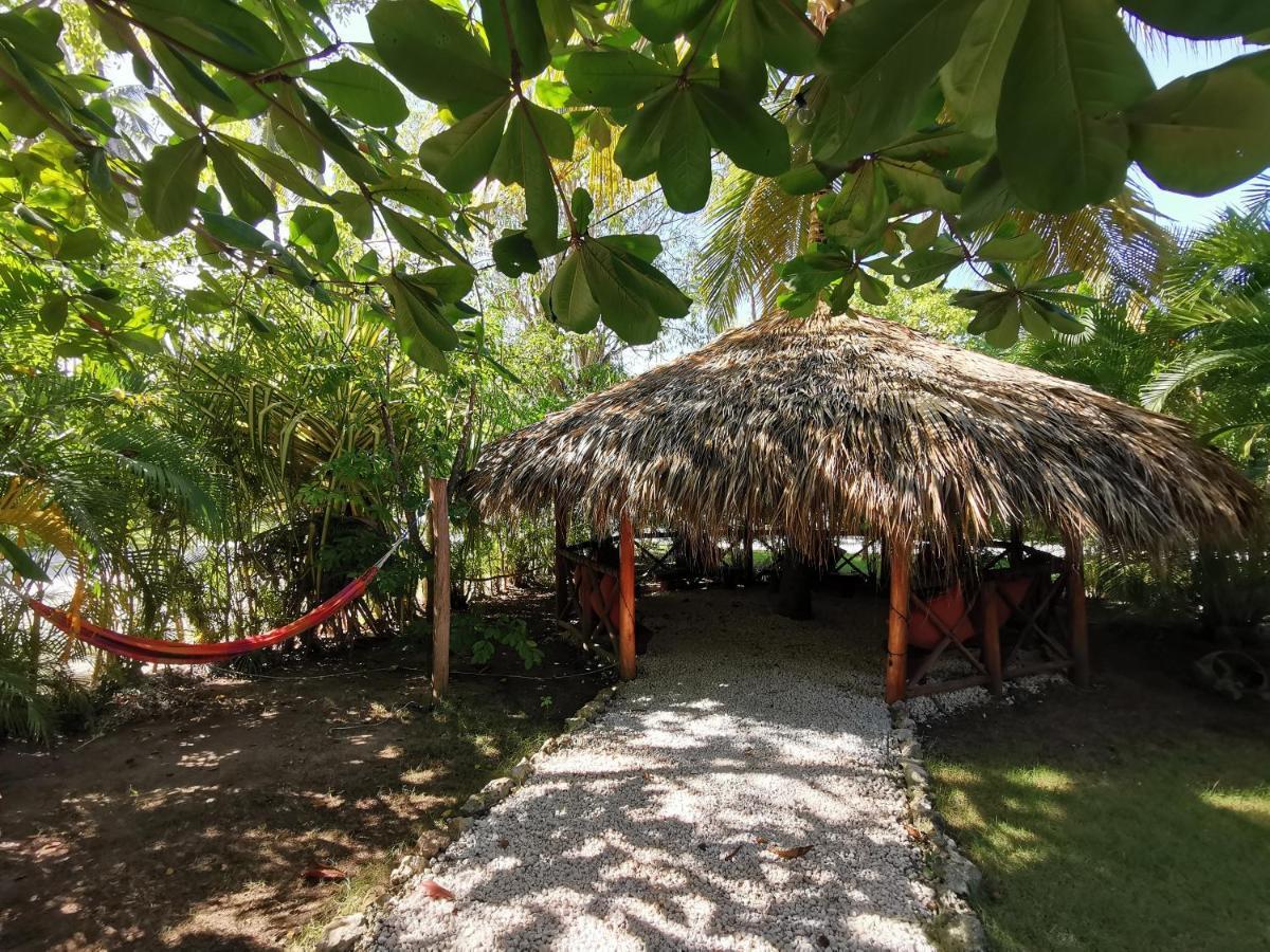 Tropical Corales Beach&spa