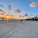 Your Crissere Tropical Dream Rd