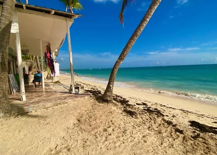 Maple Beach Punta Cana