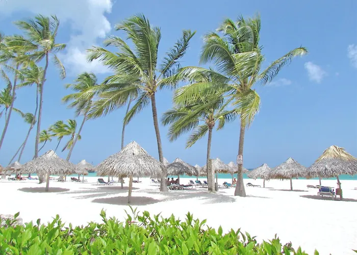 Caribbean Dream Studios With Pool Playa Los Corales