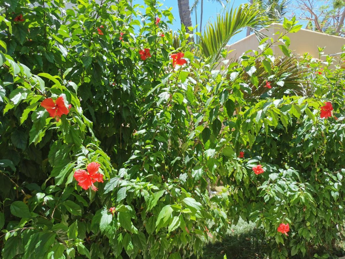 Beach House 3 Bedrooms Pickup Wifi Bbq - Playa Los Corales Villa *