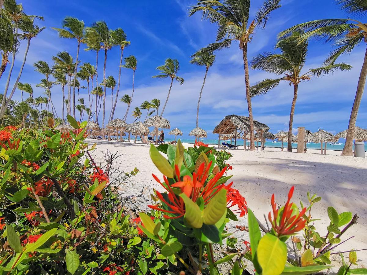 Acogedor Estudio En La Playa Bávaro Para 4 Personas Wifi * Punta Cana
