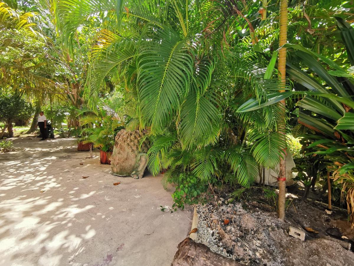 Ocean View 4 Guests Bavaro Beach Wifi Kitchen Parking Villa Punta Cana