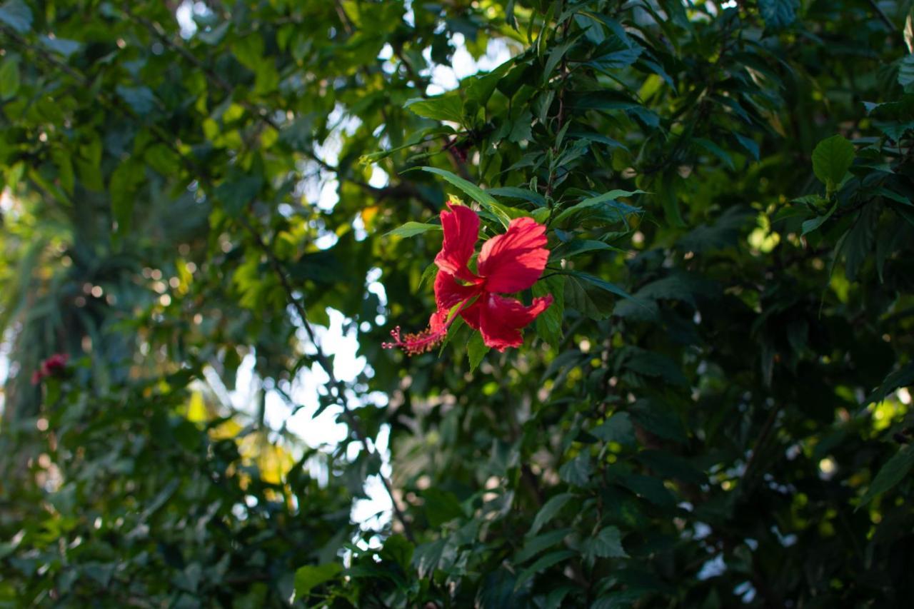 Jardin Esmeralda&spa