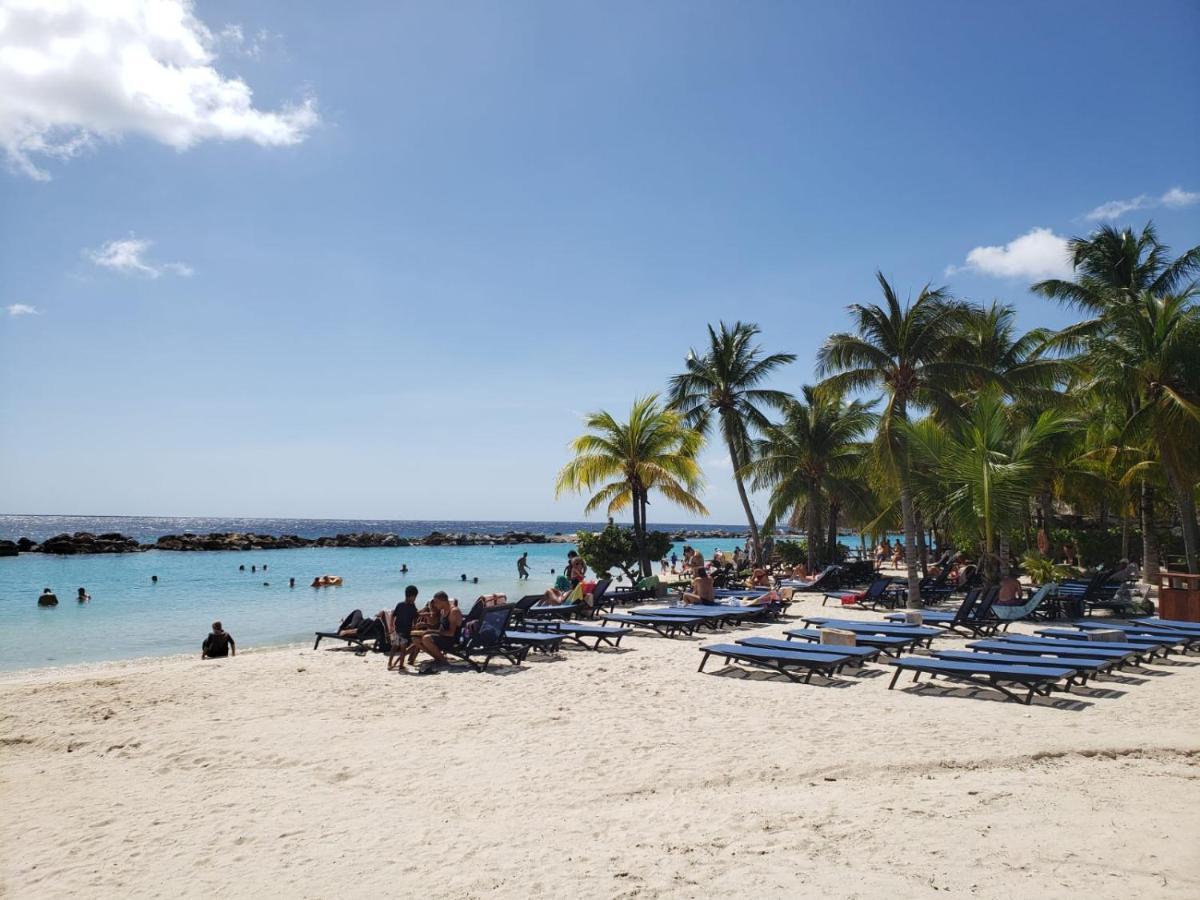 Apartamento Big Whit Pool Jacuzzi Terrace Punta Cana