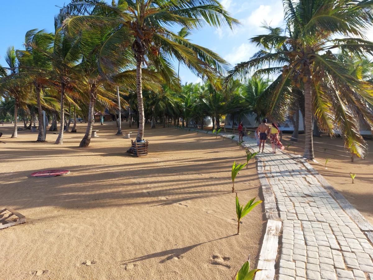 Puntacana Lavacama Costa Arrecife Punta Cana