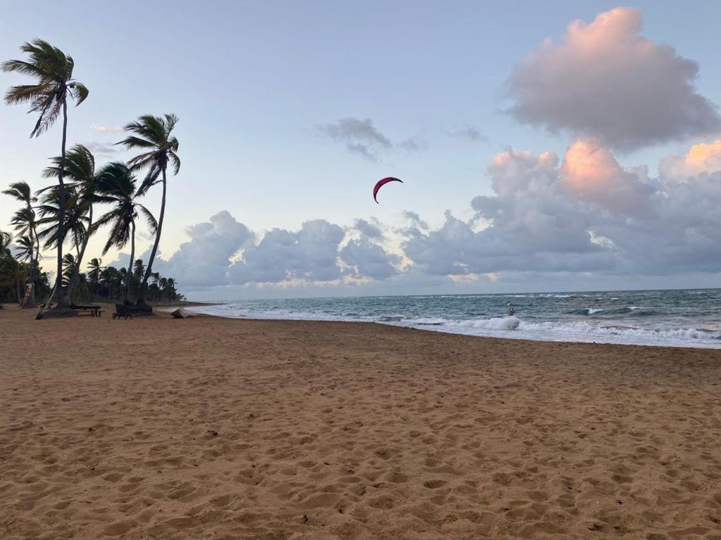 Puntacana Lavacama Costa Arrecife