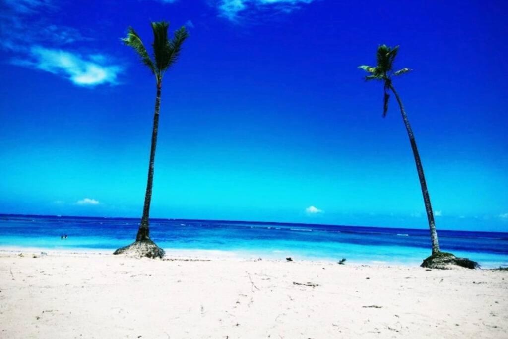 Apartamento Coral Village Oasis Tropical Deluxe Condo-walk To The And Popular Attractions!!