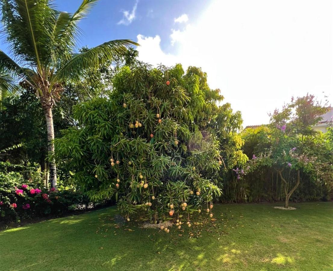 Luxury Iberosta Del Mar - 4bdr, Private Beach, Pool & Jacuzzi Villa *