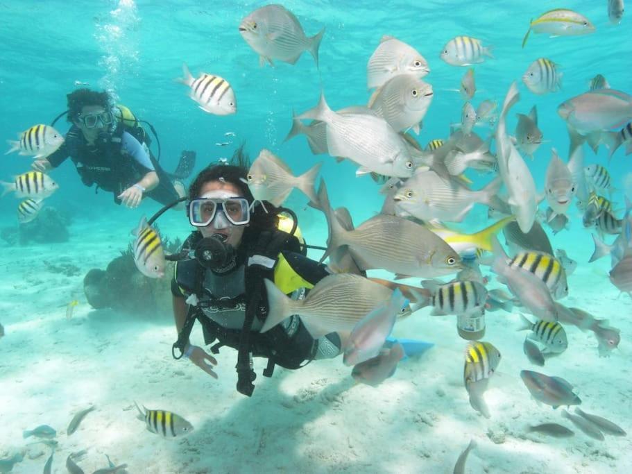 Сasa de vacaciones Casa Allegria Punta Cana
