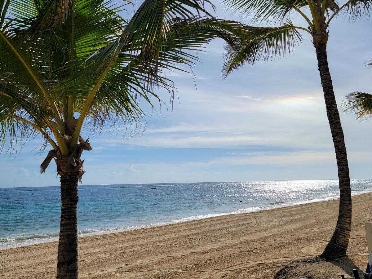 Coral Village Oasis Tropical Deluxe Condo-walk To The And Popular Attractions!!