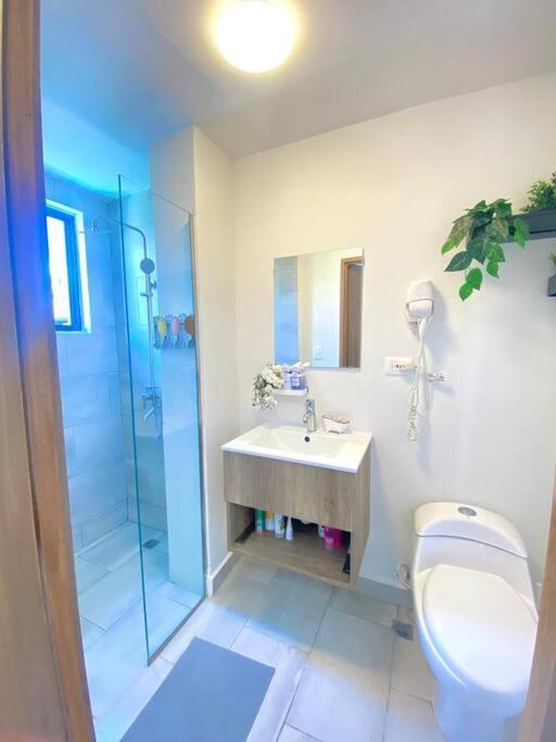 Villa En Punta Cana, Pilier