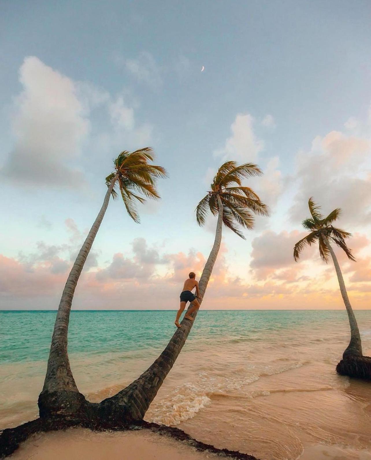 Apartamento Condominio De Lujo Coral En Canamar Cap Cana Punta Cana