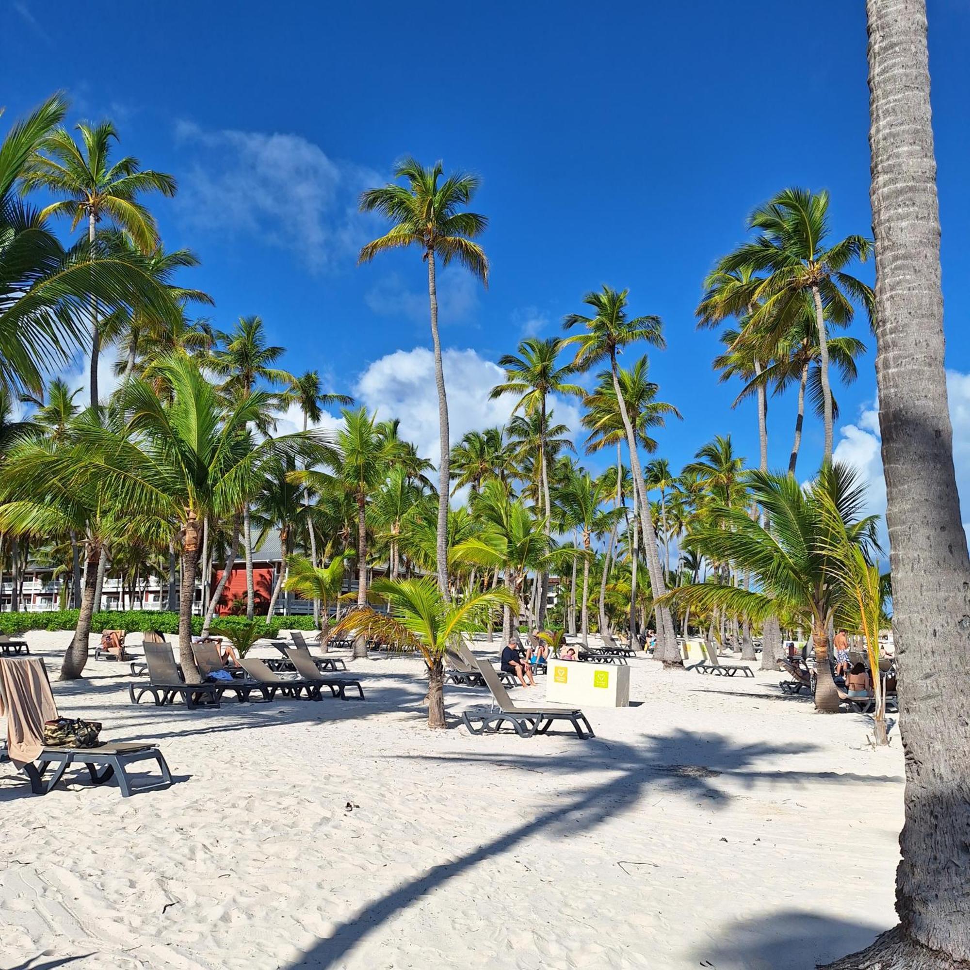 New Excellent Location In Bavaro, * Punta Cana