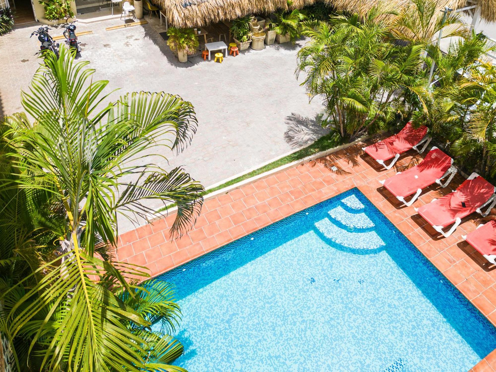 Rosas De Punta Cana