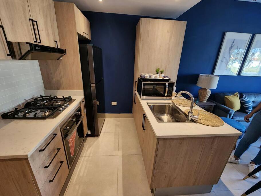 Apartamento Thematic In Capcana Area Punta Cana