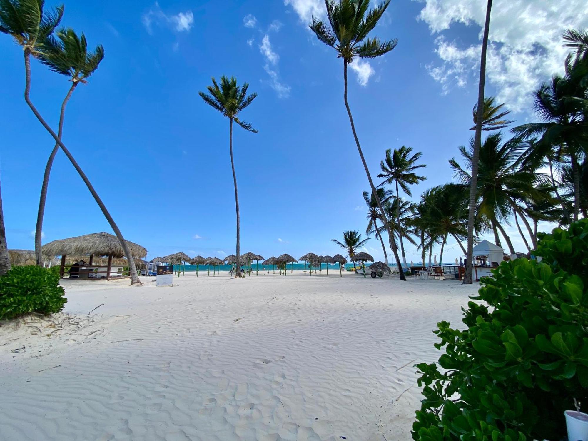 Oasis Corales *