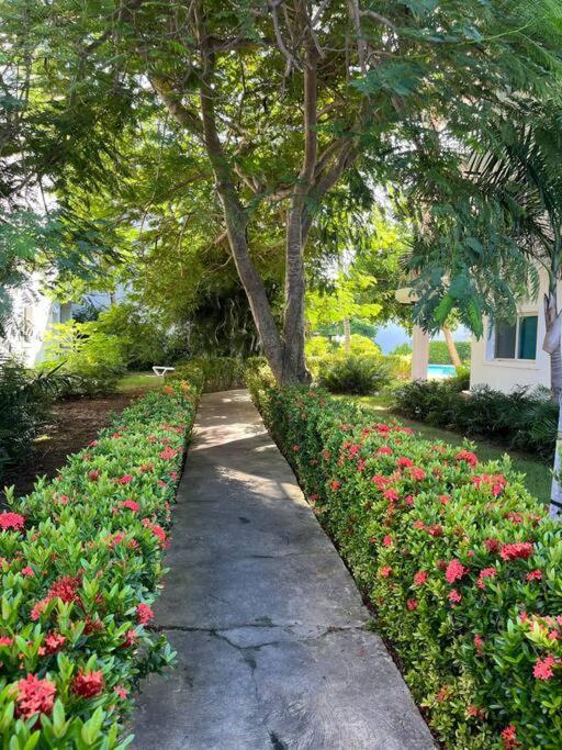 Penthouse Moderno, Playa Privada Apartamento *