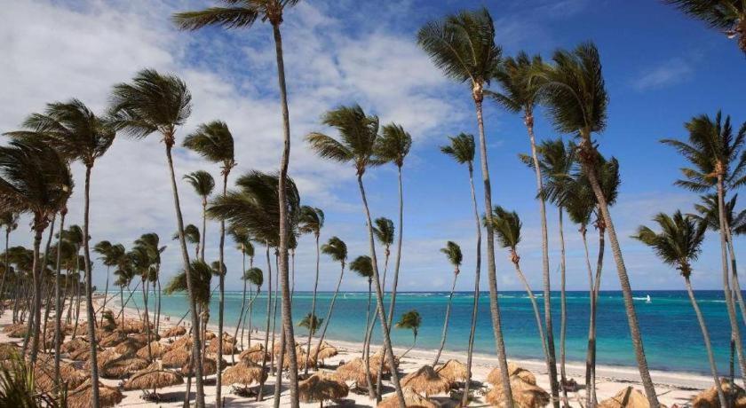Royal Service At Paradisus Palma Real (adults Only) Hotel Punta Cana