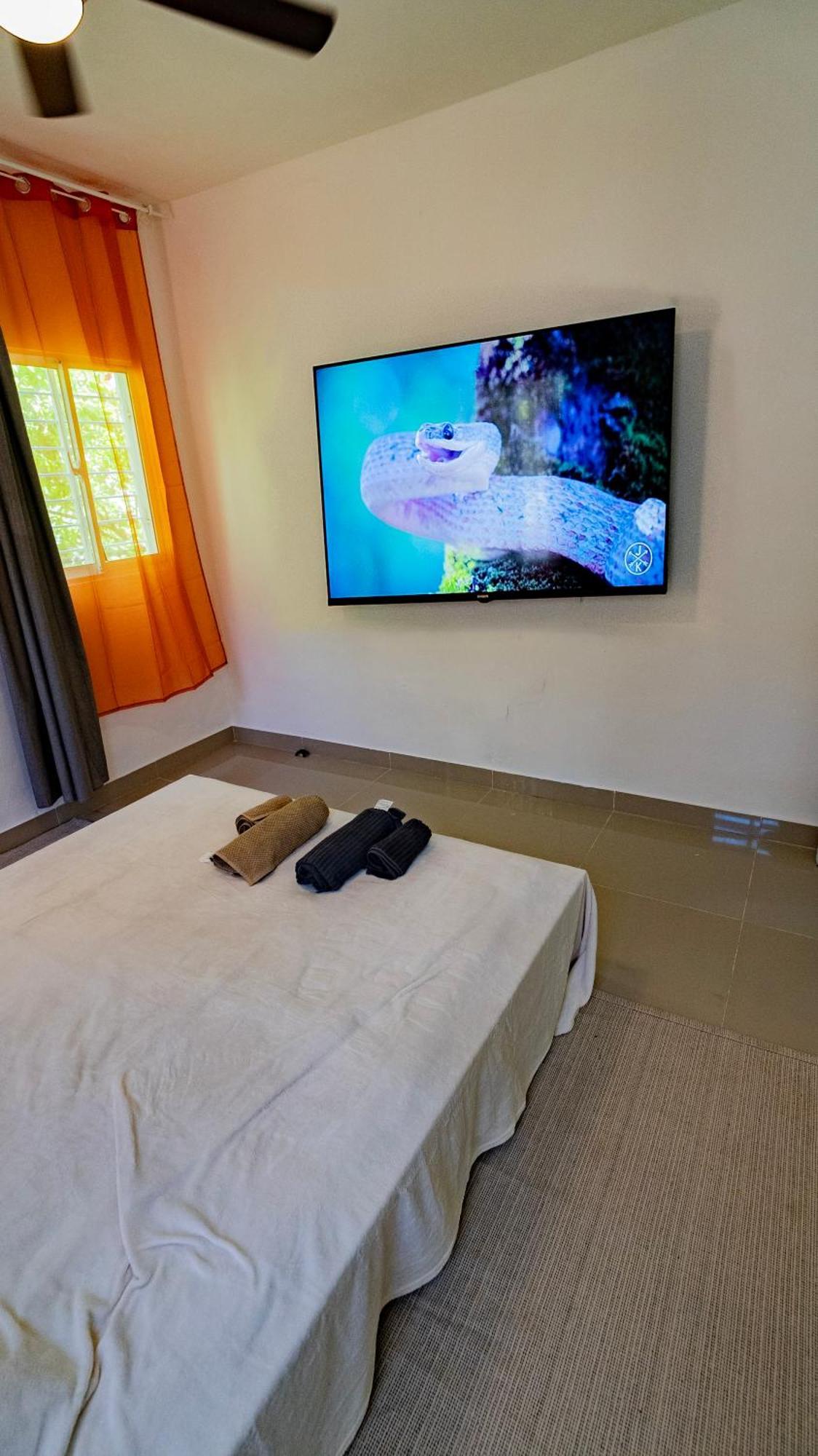 Caribbean Tropical - Free Electricity Included Villa