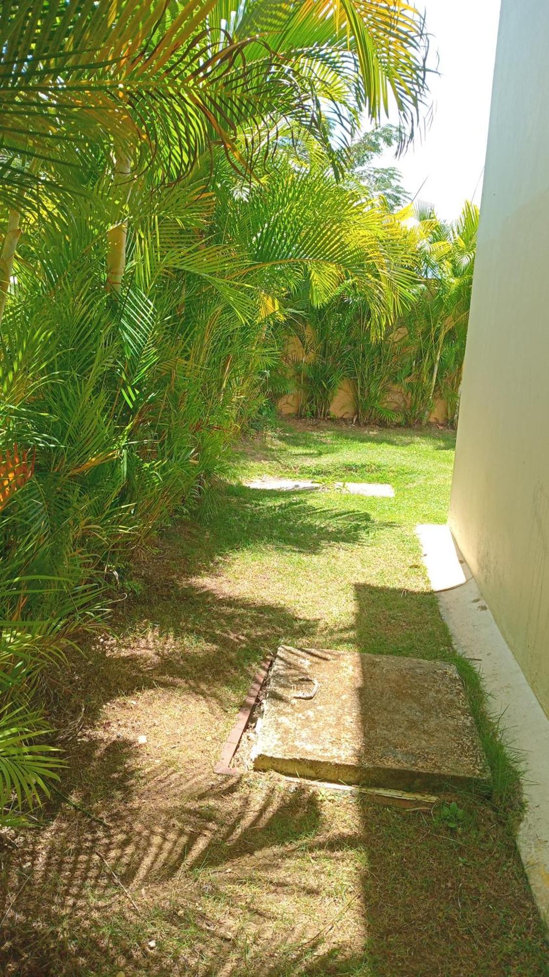 Playa Punta Cana