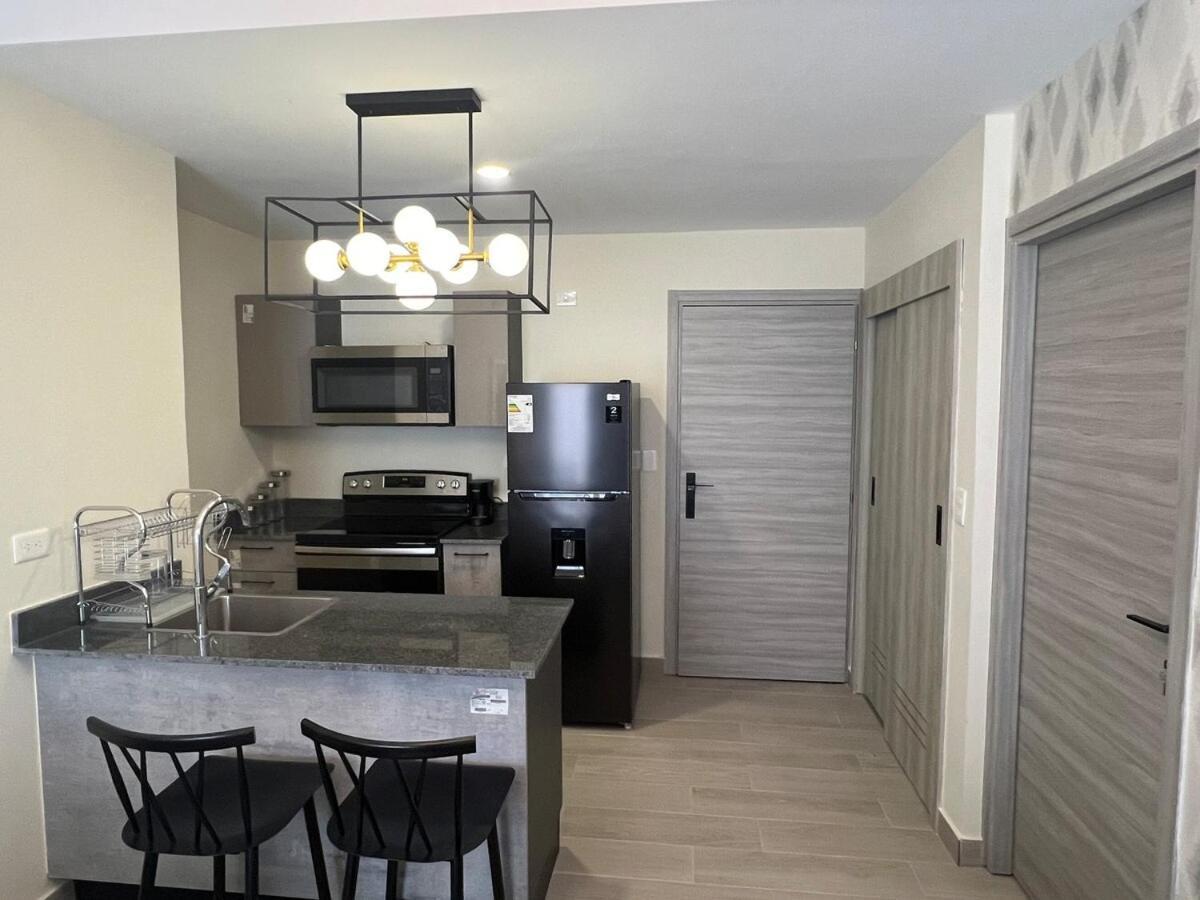 Apartamento Comfortable In Vista Cana