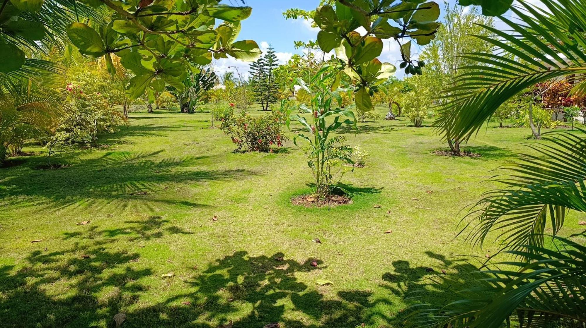 Eco Lodges Macao Beach Bavaro Punta Cana Punta Cana