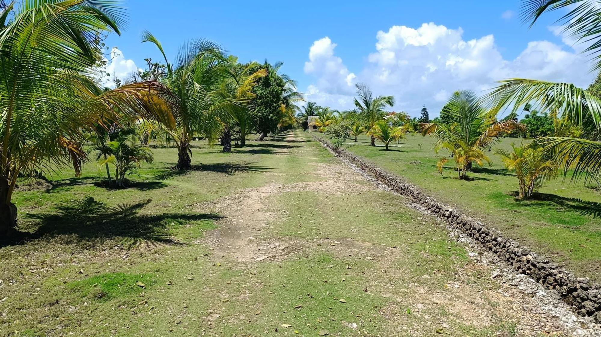 Lodge Eco Lodges Macao Beach Bavaro Punta Cana Punta Cana