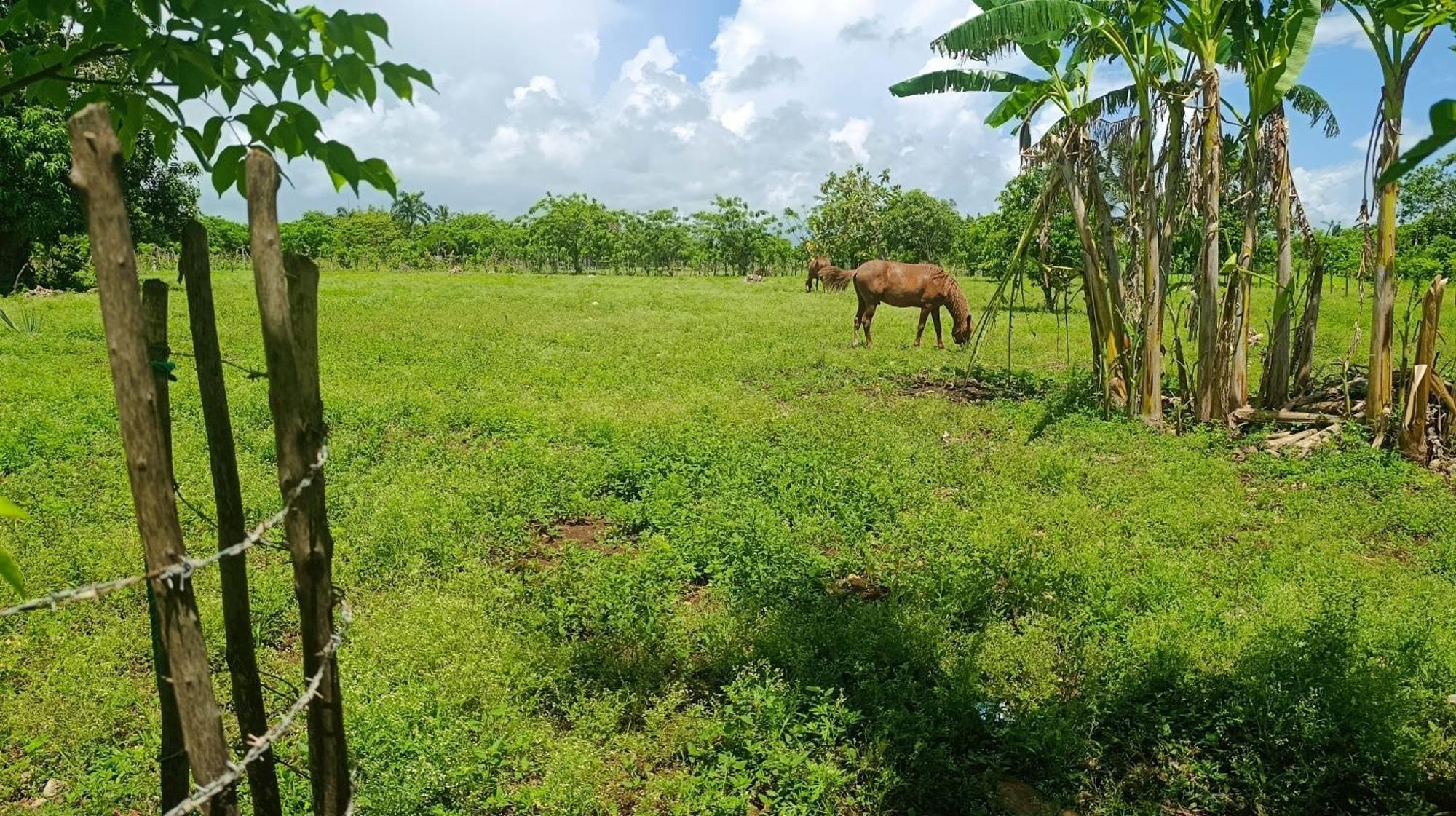 Eco Lodges Macao Beach Bavaro Punta Cana Lodge