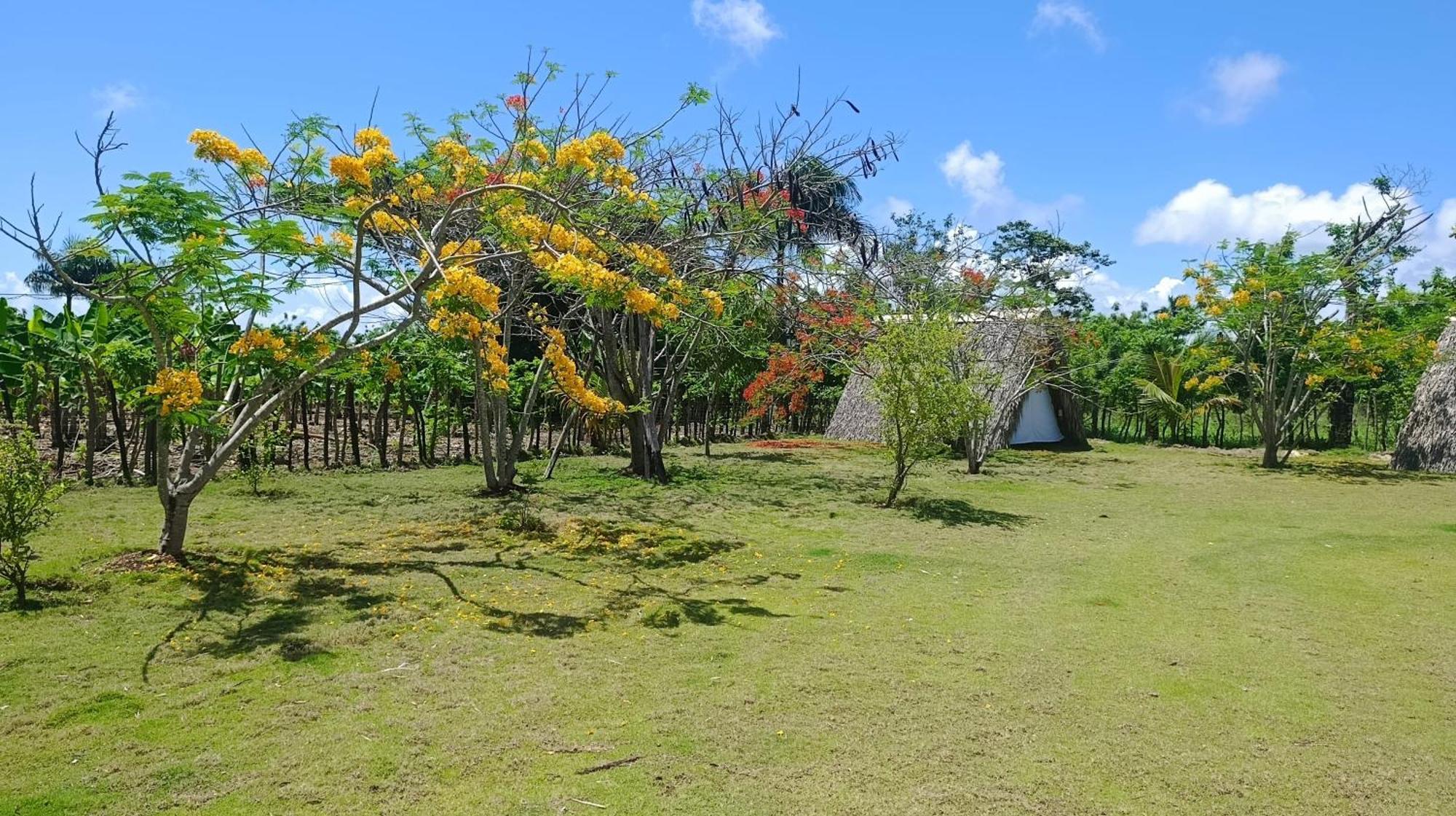 Lodge Eco Lodges Macao Beach Bavaro Punta Cana *