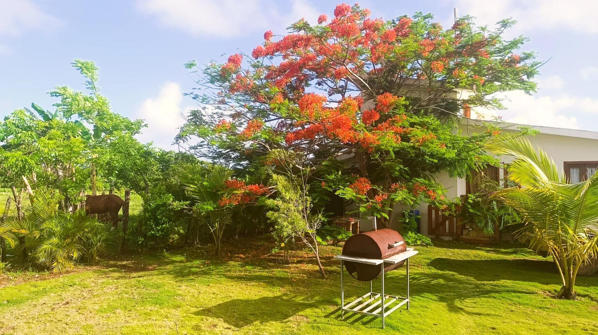 Eco Lodges Macao Beach Bavaro Punta Cana Lodge Punta Cana