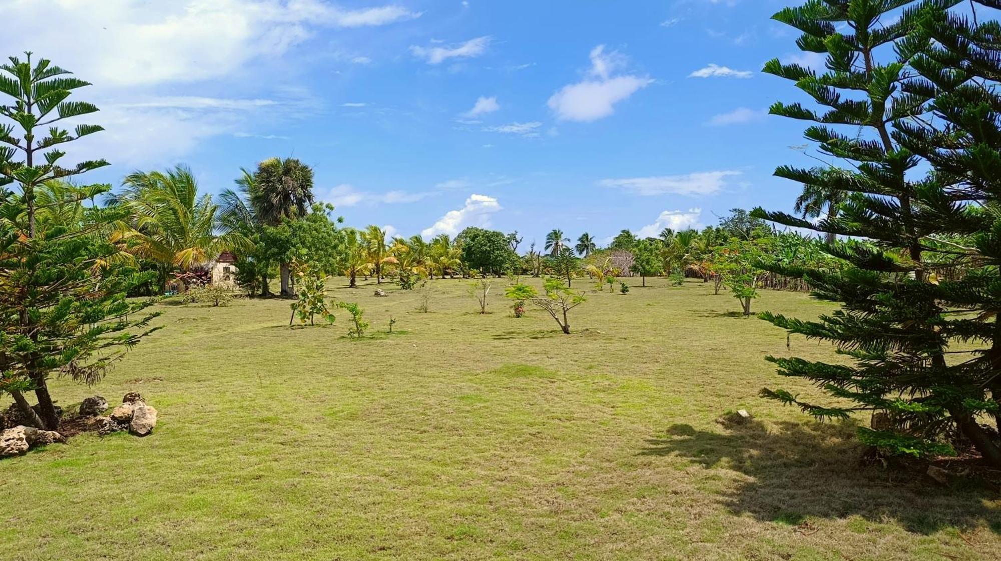 Eco Lodges Macao Beach Bavaro Punta Cana Punta Cana