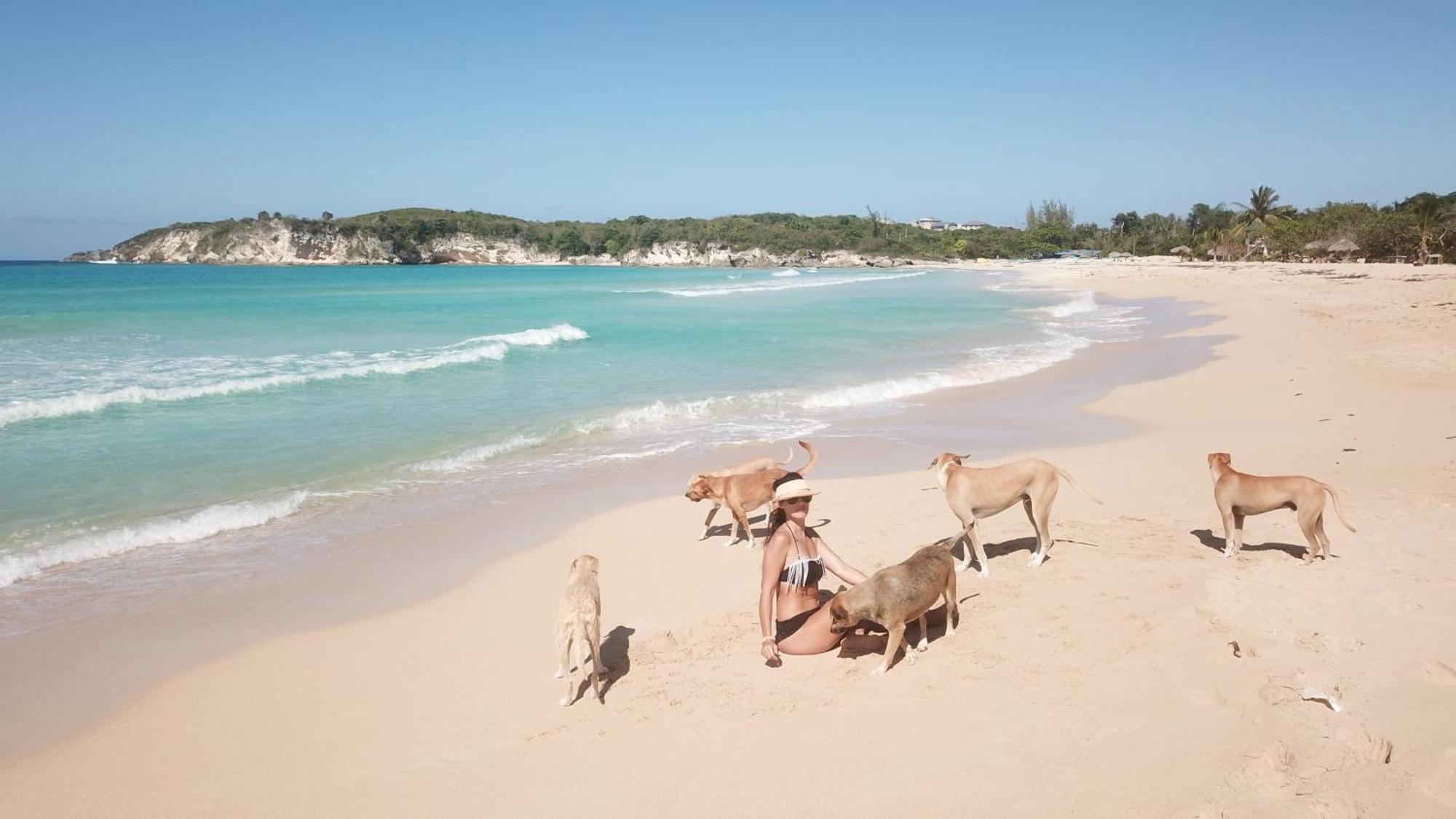 Lodge Eco Lodges Macao Beach Bavaro Punta Cana *