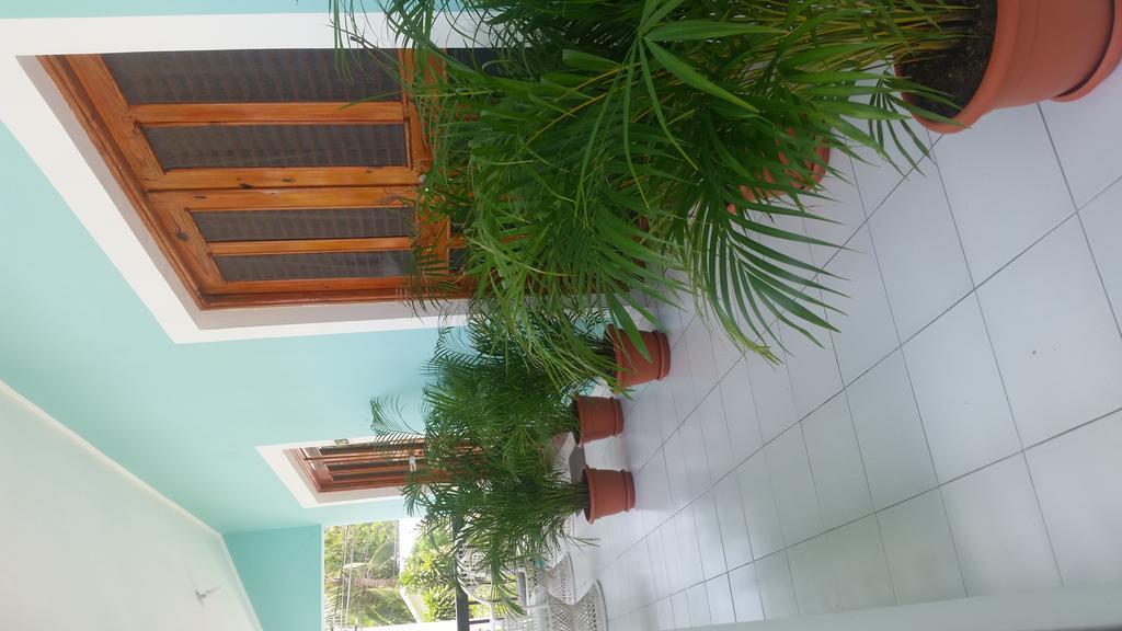Boxy Punta Cana
