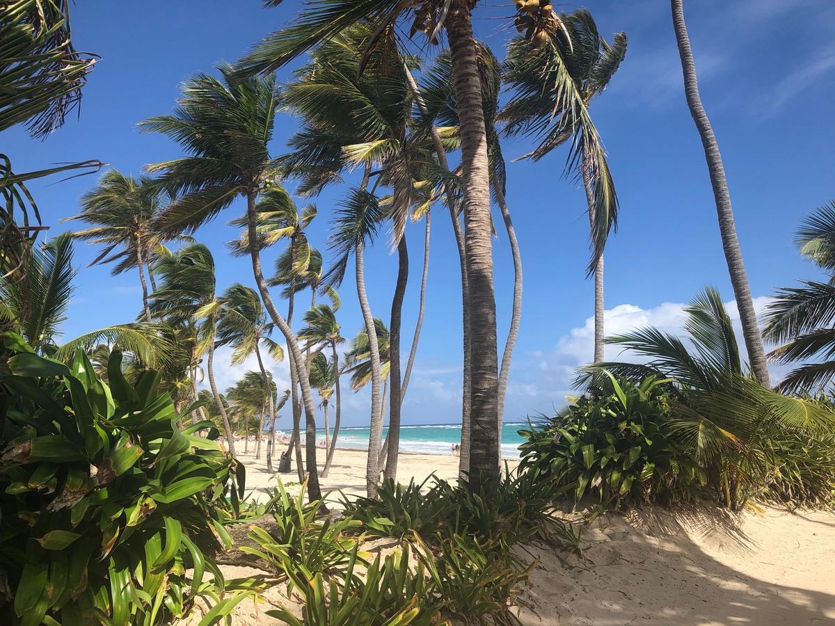 Art Dominicana Hotel Punta Cana