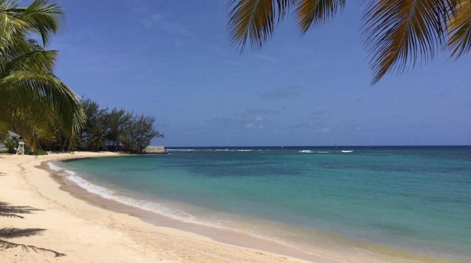 Oasis Punta Cana