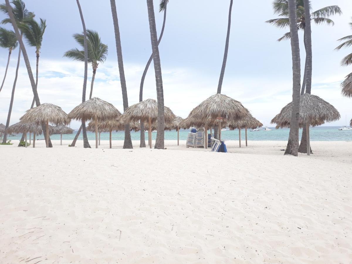Caribbean Oreuga *