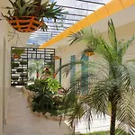 Hotel Van Vliet