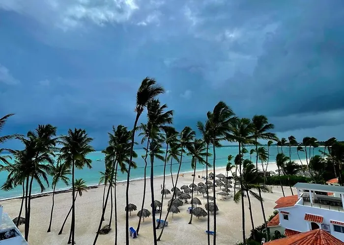 Palm Sea View