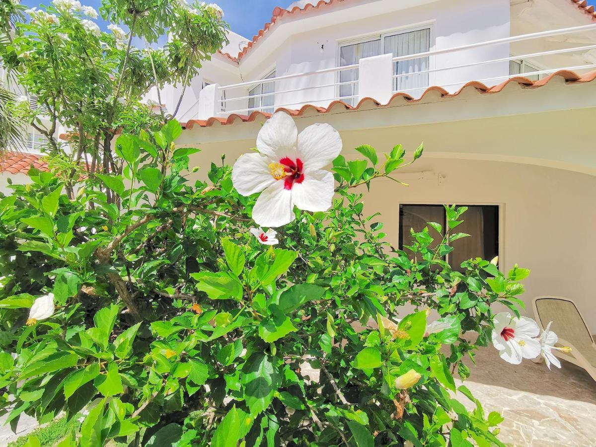Beach Holiday Los Corales Bavaro - 9 Guests Wifi Bbq-grill Pickup *