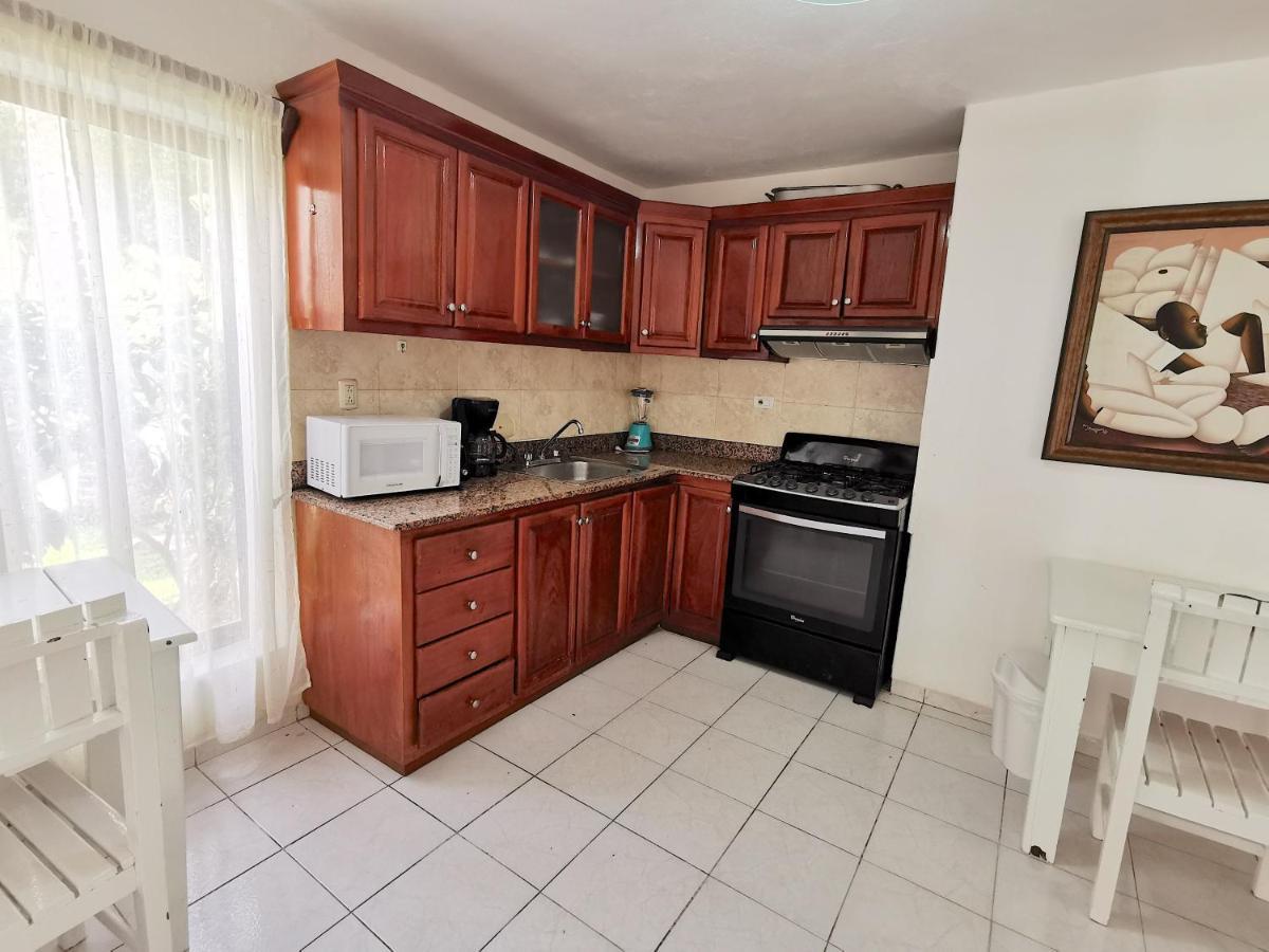 Beach Holiday Los Corales Bavaro - 9 Guests Wifi Bbq-grill Pickup
