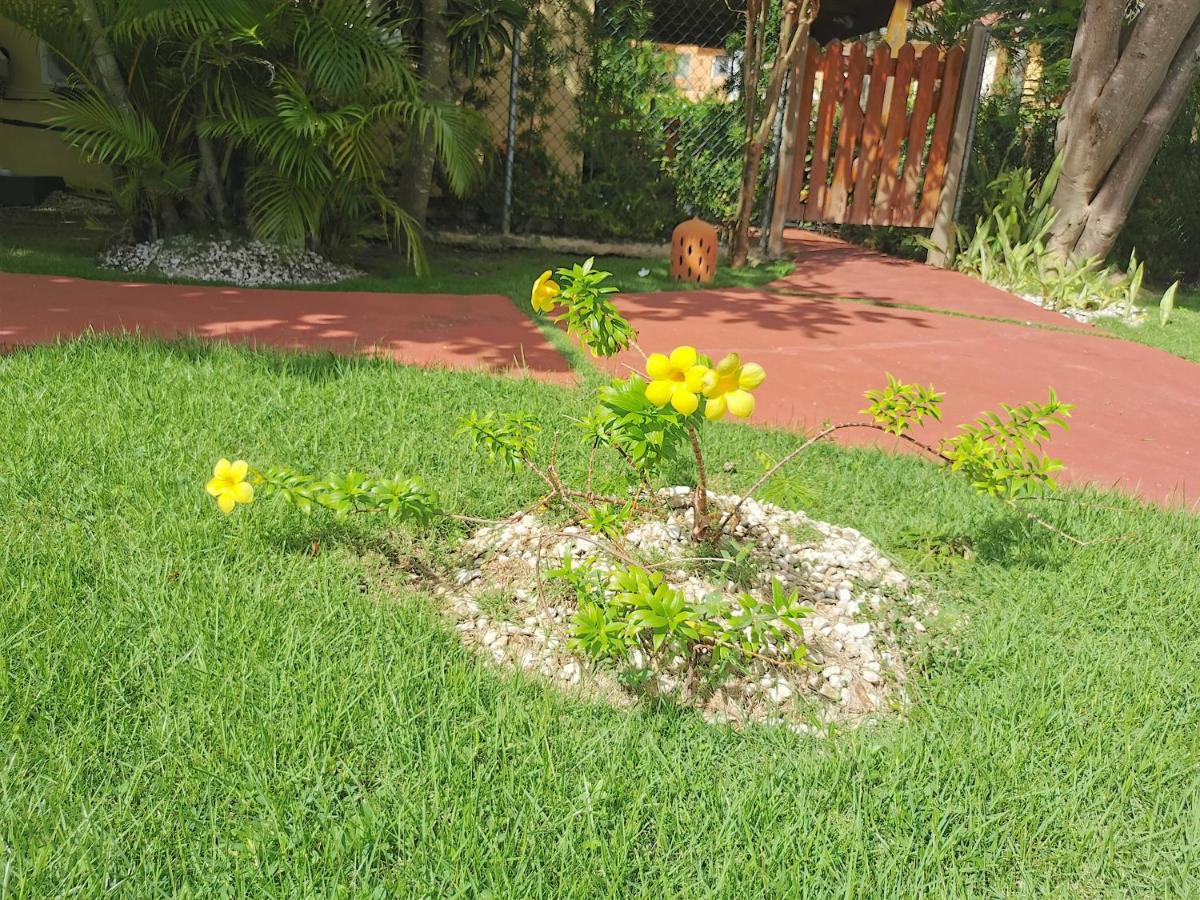 Ocean Front - Playa Bavaro 8 Guests Bbq Wifi Punta Cana