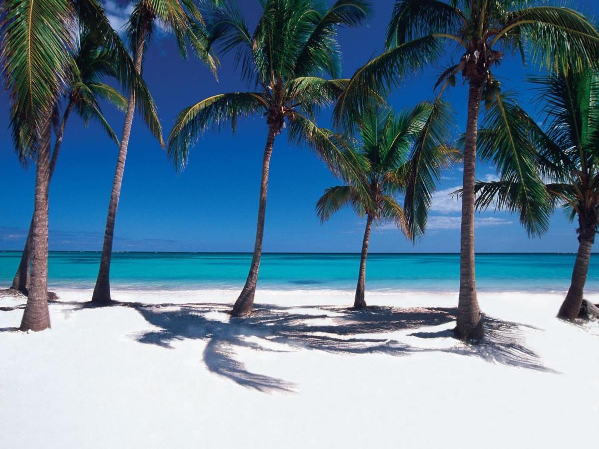 Apartamento Elite Aptos At Cap Cana Punta Cana