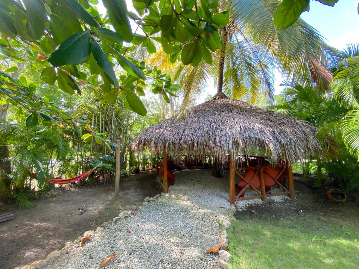 Hotel Tropical Village Los Corales 5*